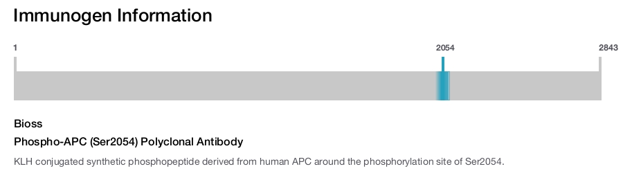 Phospho-APC (Ser2054) Polyclonal Antibody