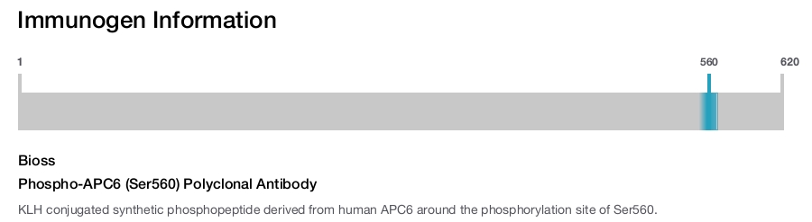 Phospho-APC6 (Ser560) Polyclonal Antibody