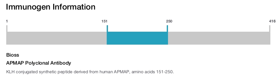 APMAP Polyclonal Antibody