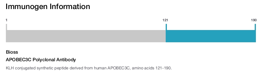 APOBEC3C Polyclonal Antibody