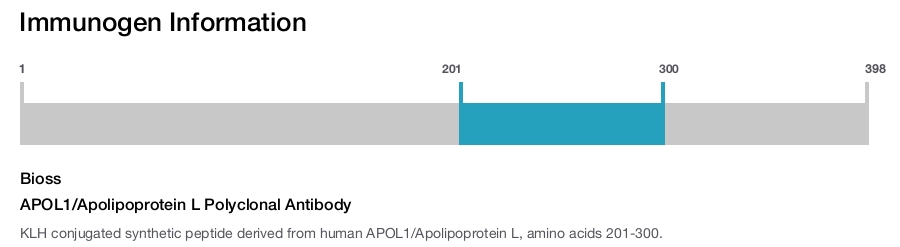 APOL1/Apolipoprotein L Polyclonal Antibody