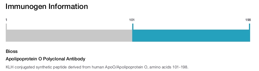 Apolipoprotein O Polyclonal Antibody