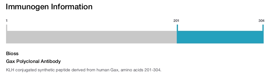 Gax Polyclonal Antibody
