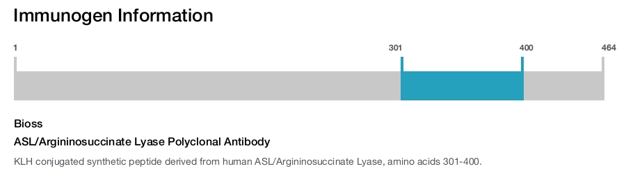ASL/Argininosuccinate Lyase Polyclonal Antibody