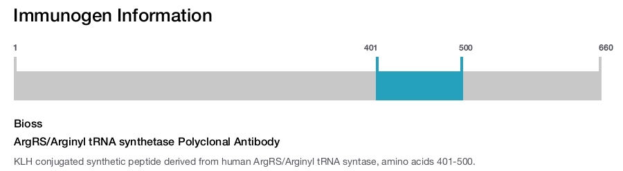 ArgRS/Arginyl tRNA synthetase Polyclonal Antibody