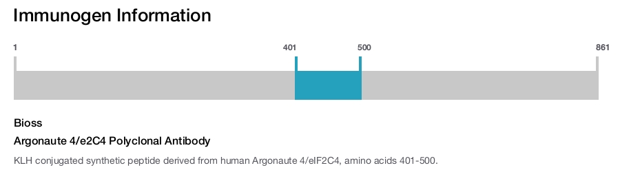Argonaute 4/e2C4 Polyclonal Antibody