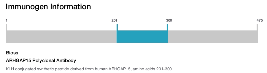 ARHGAP15 Polyclonal Antibody