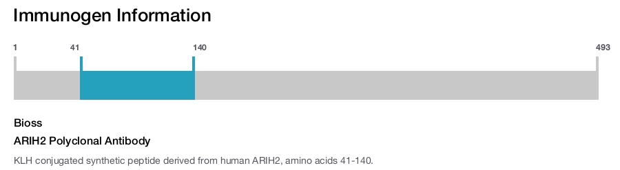 ARIH2 Polyclonal Antibody