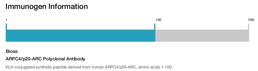 ARPC4/p20-ARC Polyclonal Antibody