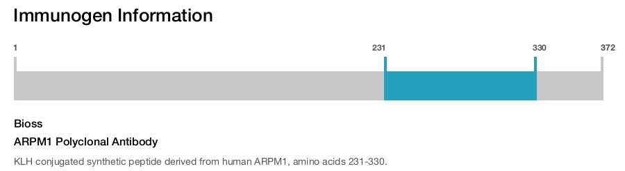 ARPM1 Polyclonal Antibody