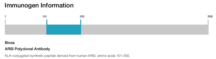 ARSI Polyclonal Antibody