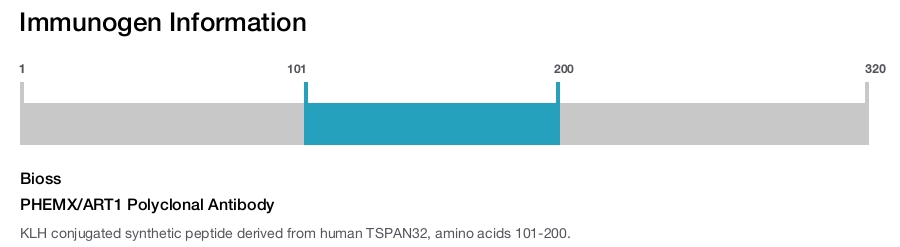 PHEMX/ART1 Polyclonal Antibody