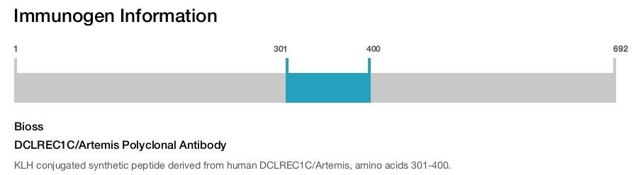 DCLREC1C/Artemis Polyclonal Antibody