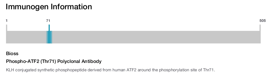 Phospho-ATF2 (Thr71) Polyclonal Antibody