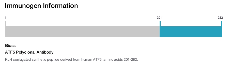 ATF5 Polyclonal Antibody