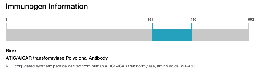 ATIC/AICAR transformylase Polyclonal Antibody