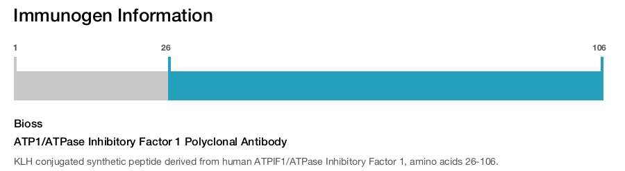 ATP1/ATPase Inhibitory Factor 1 Polyclonal Antibody
