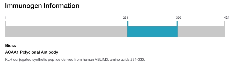 ACAA1 Polyclonal Antibody