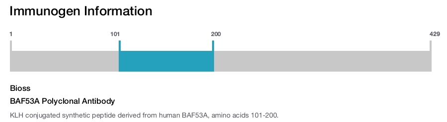 BAF53A Polyclonal Antibody