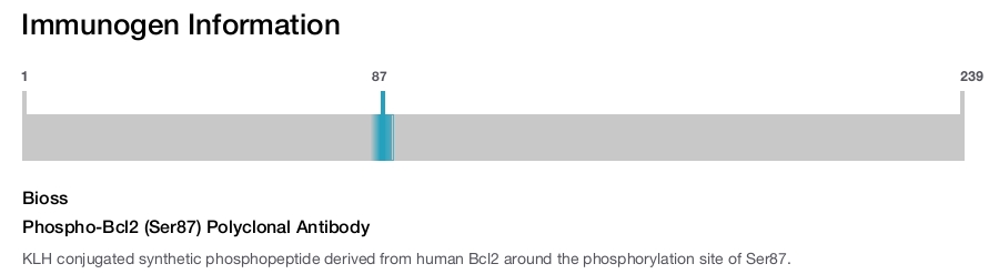 Phospho-Bcl2 (Ser87) Polyclonal Antibody