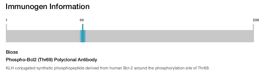 Phospho-Bcl2 (Thr69) Polyclonal Antibody