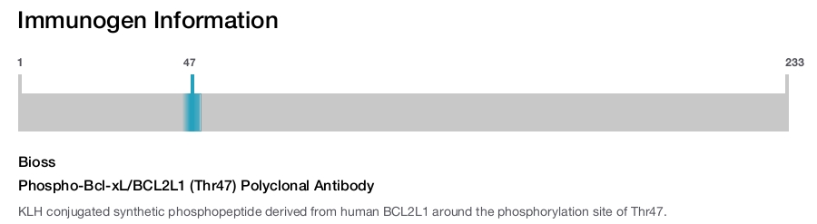 Phospho-Bcl-xL/BCL2L1 (Thr47) Polyclonal Antibody