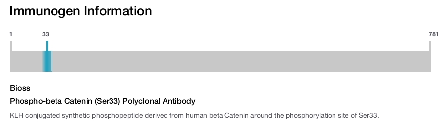 Phospho-beta Catenin (Ser33) Polyclonal Antibody