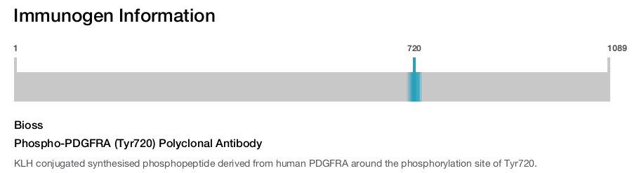 Phospho-PDGFRA (Tyr720) Polyclonal Antibody