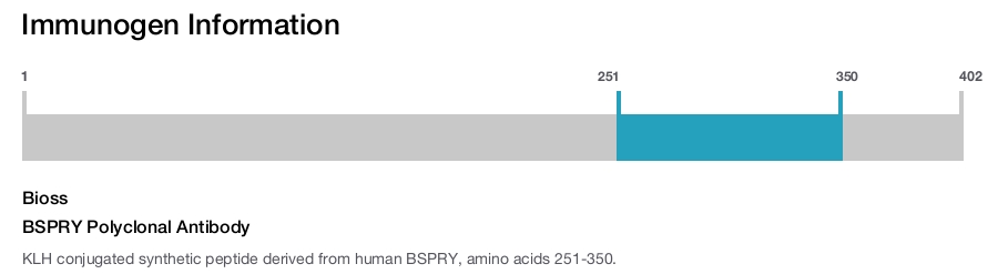 BSPRY Polyclonal Antibody