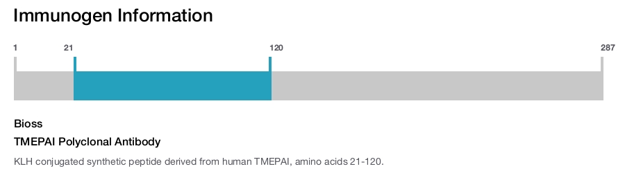 TMEPAI Polyclonal Antibody
