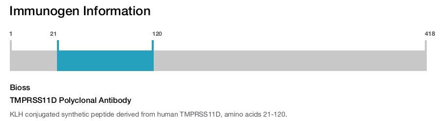 TMPRSS11D Polyclonal Antibody