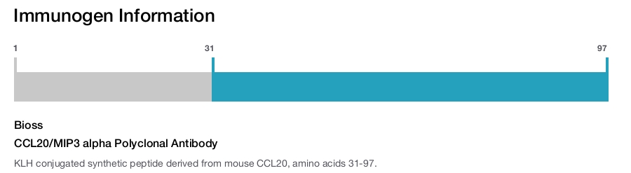 CCL20/MIP3 alpha Polyclonal Antibody