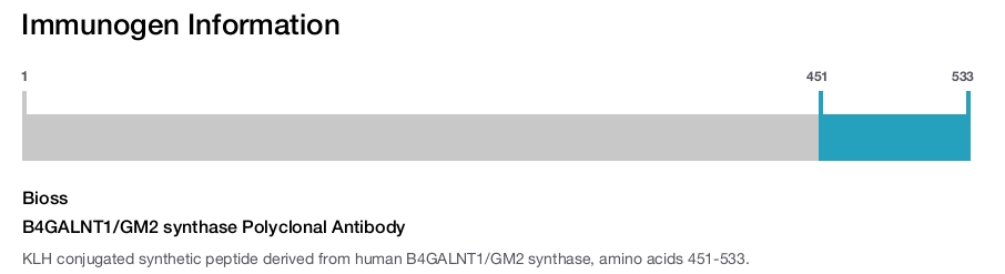 B4GALNT1/GM2 synthase Polyclonal Antibody