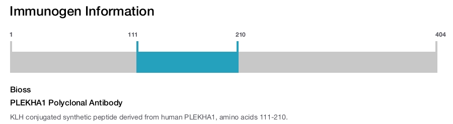PLEKHA1 Polyclonal Antibody
