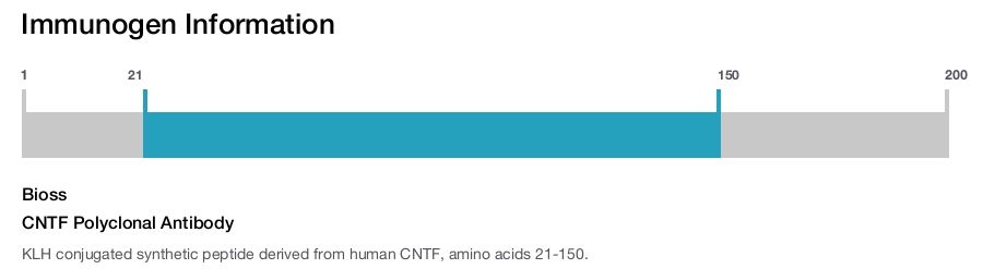 CNTF Polyclonal Antibody