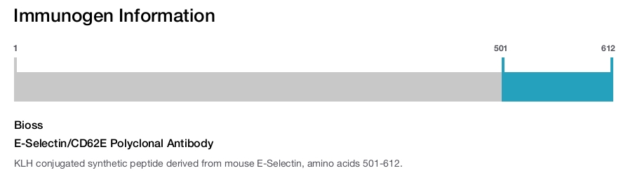 E-Selectin/CD62E Polyclonal Antibody