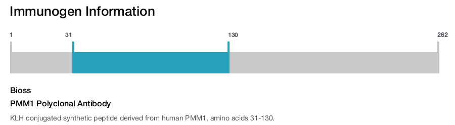 PMM1 Polyclonal Antibody