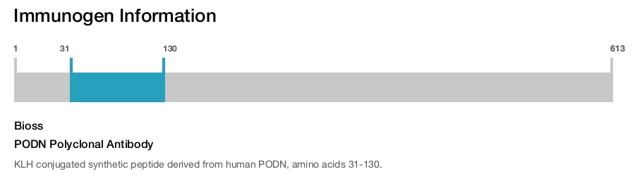 PODN Polyclonal Antibody