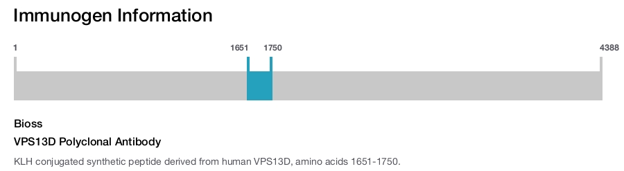 VPS13D Polyclonal Antibody
