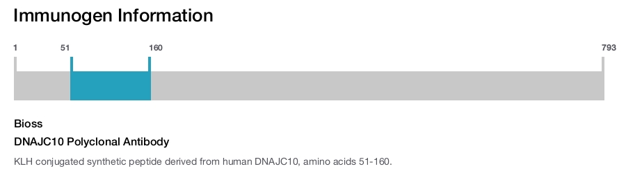 DNAJC10 Polyclonal Antibody