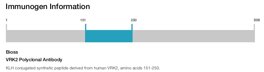 VRK2 Polyclonal Antibody