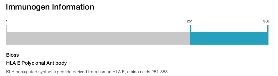 HLA E Polyclonal Antibody