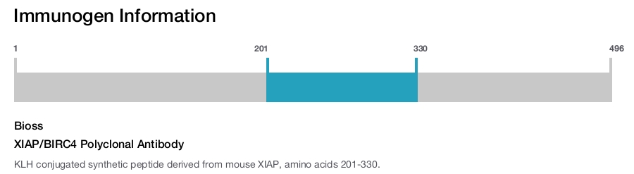 XIAP/BIRC4 Polyclonal Antibody