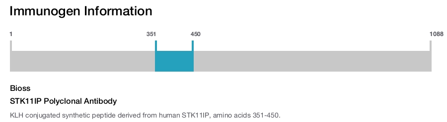 STK11IP Polyclonal Antibody
