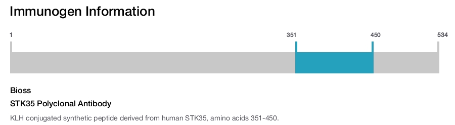 STK35 Polyclonal Antibody