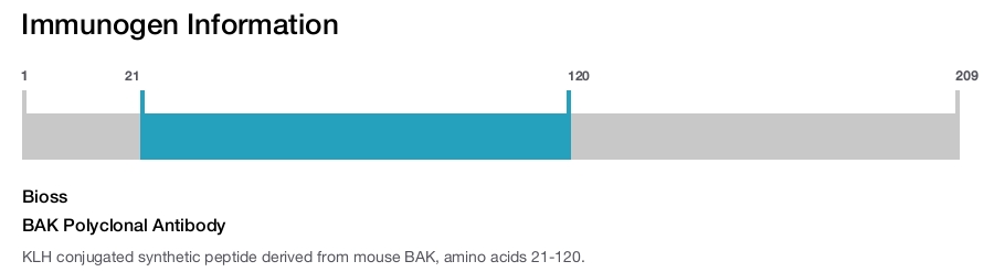 BAK Polyclonal Antibody