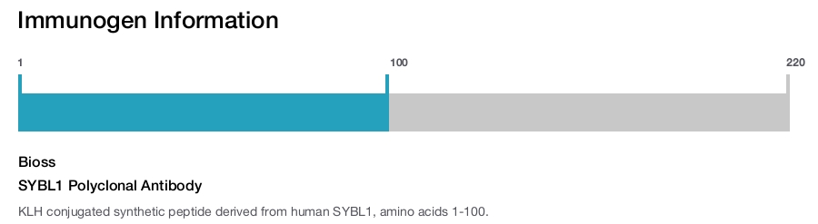 SYBL1 Polyclonal Antibody