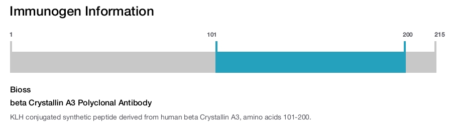 beta Crystallin A3 Polyclonal Antibody