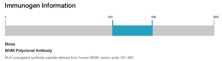 BIVM Polyclonal Antibody