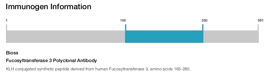 Fucosyltransferase 3 Polyclonal Antibody